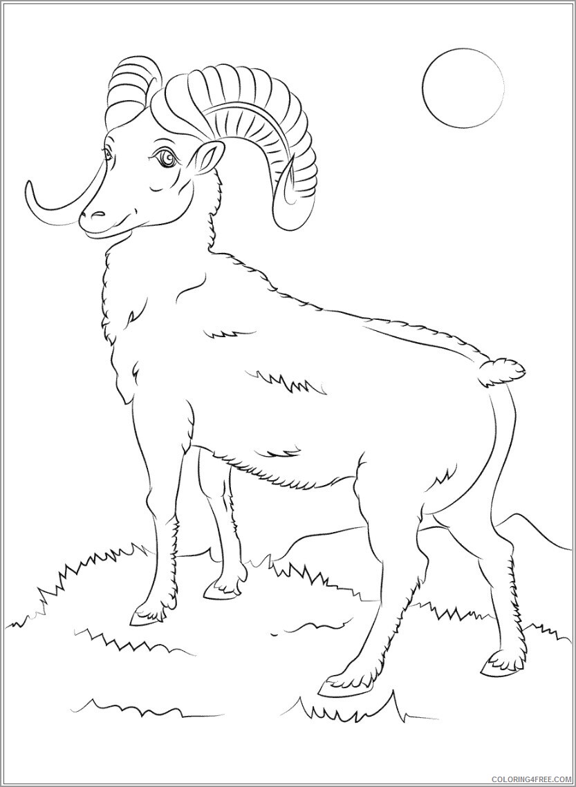 Sheep Coloring Pages Animal Printable Sheets mountain bighorn sheep 2021 4477 Coloring4free