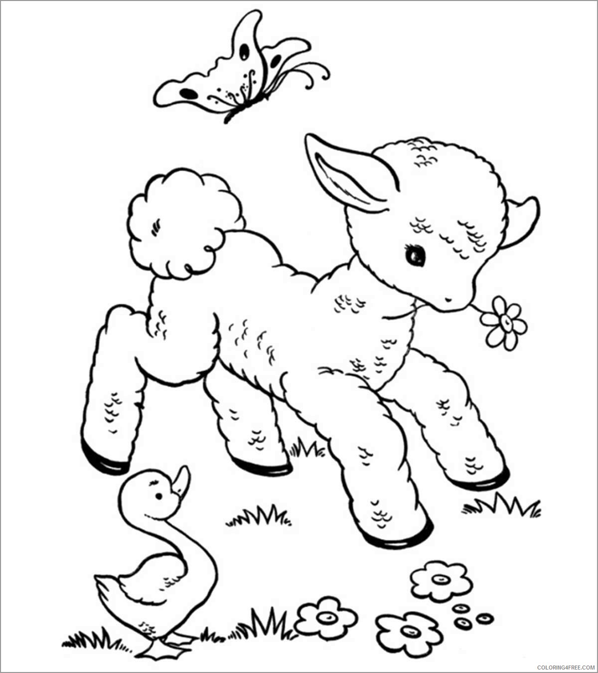 Sheep Coloring Pages Animal Printable Sheets printable sheep 2021 4480 Coloring4free