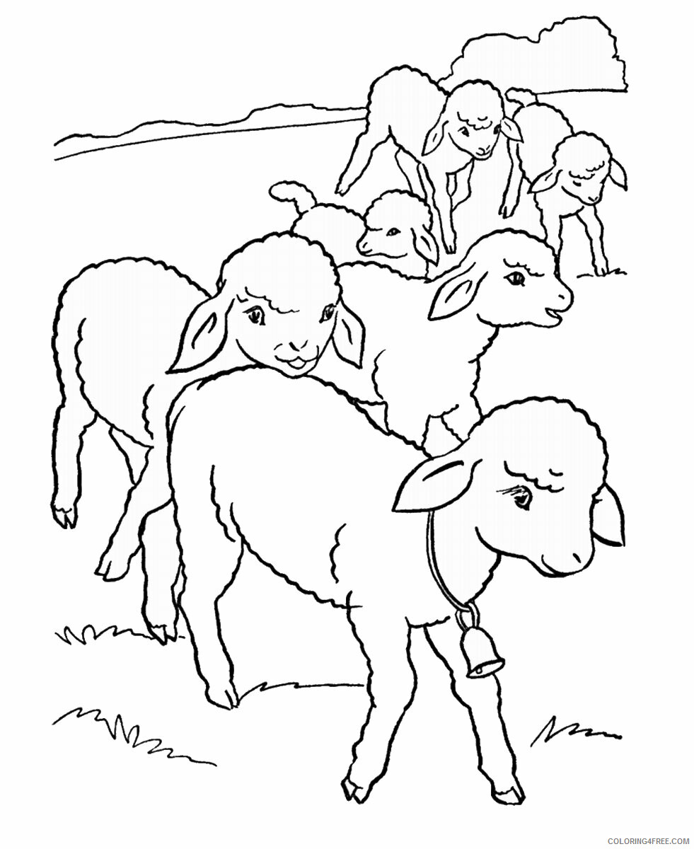 Sheep Coloring Pages Animal Printable Sheets sheep_cl_06 2021 4483 Coloring4free