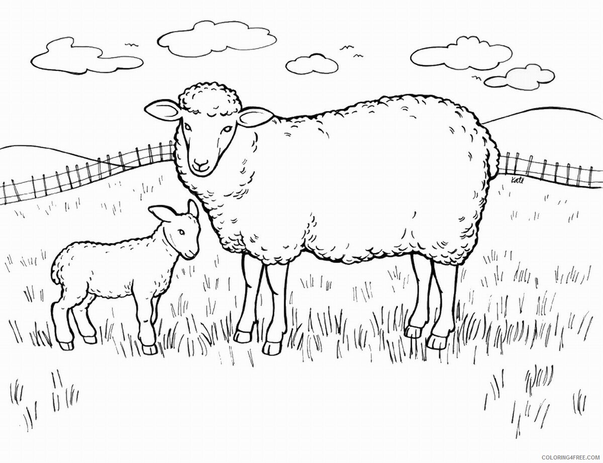 Sheep Coloring Pages Animal Printable Sheets sheep_cl_09 2021 4484 Coloring4free