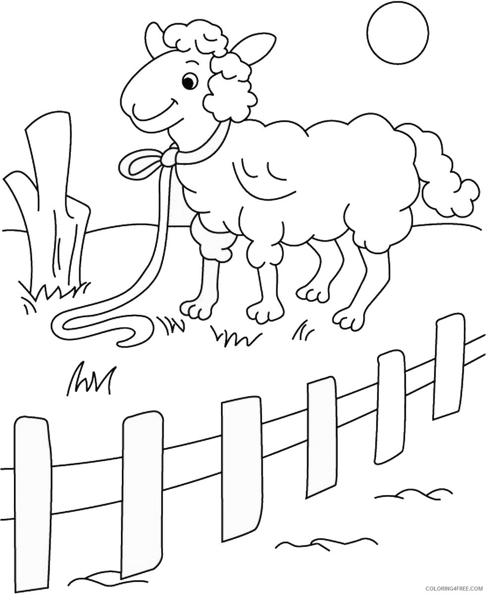 Sheep Coloring Pages Animal Printable Sheets sheep_cl_19 2021 4488 Coloring4free