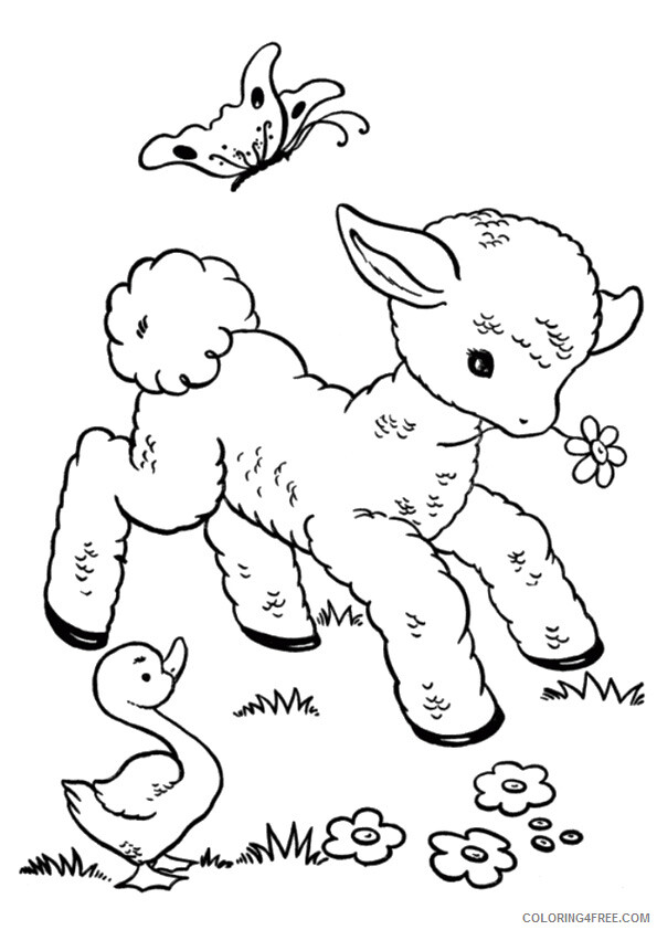 Sheep Coloring Pages Animal Printable Sheets the little sheep 2021 4503 Coloring4free