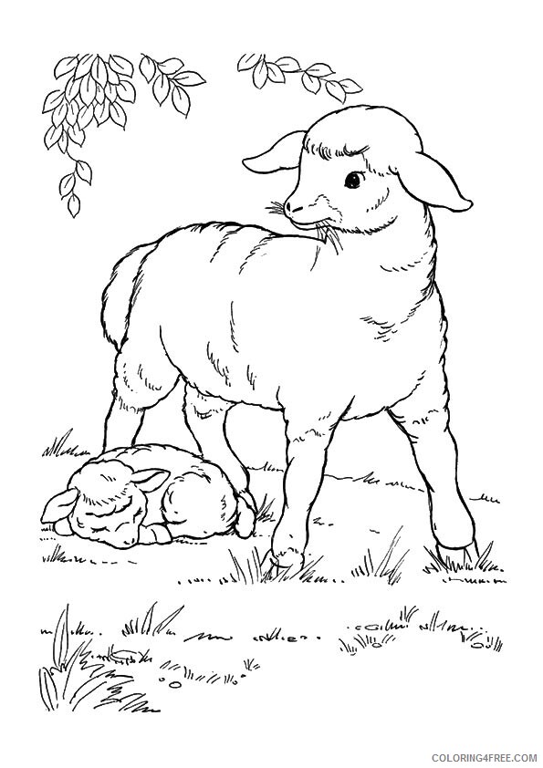 Sheep Coloring Sheets Animal Coloring Pages Printable 2021 4060 Coloring4free