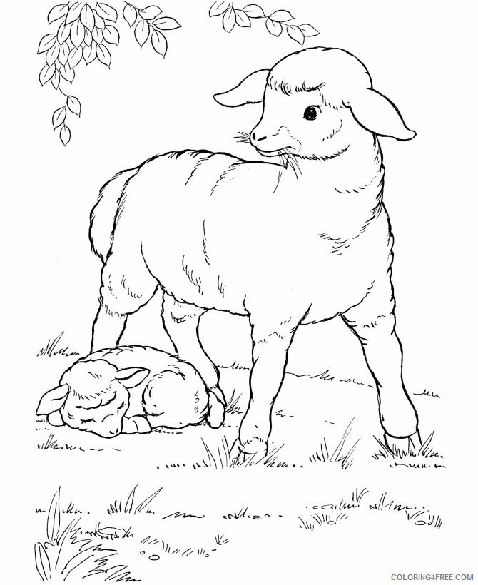 Sheep Coloring Sheets Animal Coloring Pages Printable 2021 4084 Coloring4free