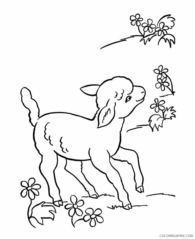 Sheep Coloring Sheets Animal Coloring Pages Printable 2021 4111 Coloring4free