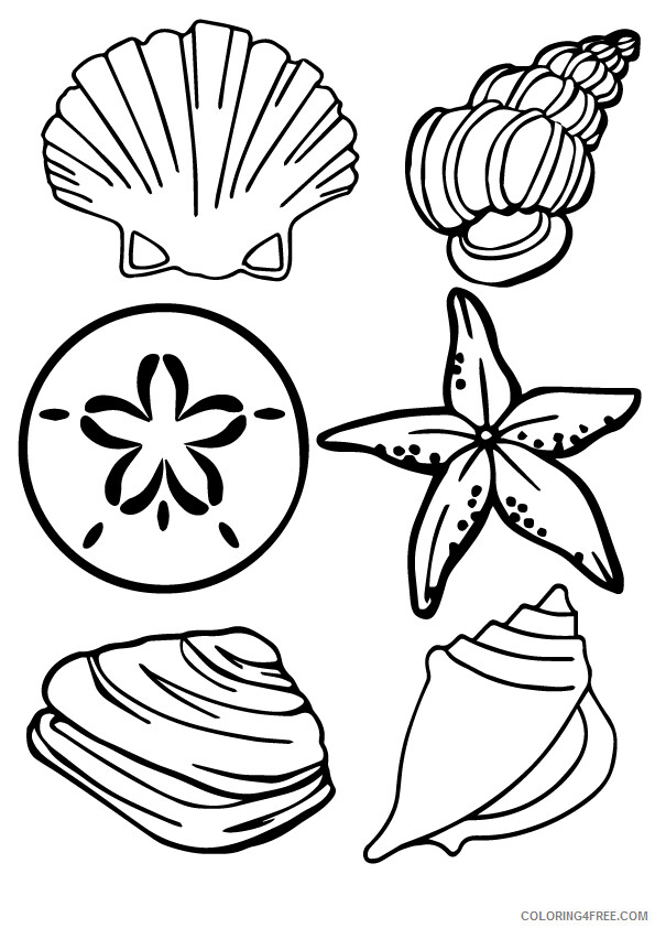 Shell Coloring Sheets Animal Coloring Pages Printable 2021 4122 Coloring4free