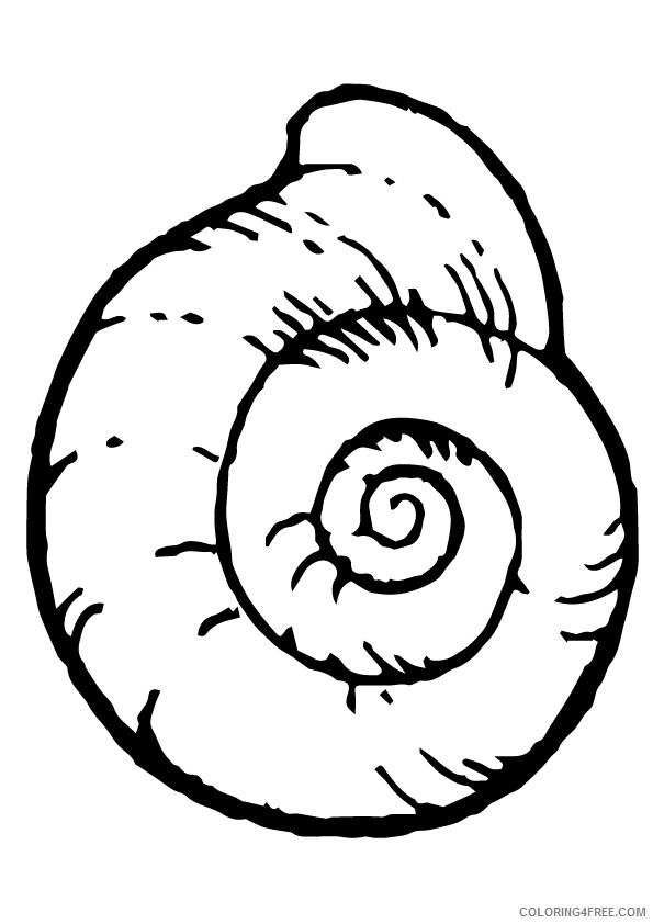 Shell Coloring Sheets Animal Coloring Pages Printable 2021 4131 Coloring4free