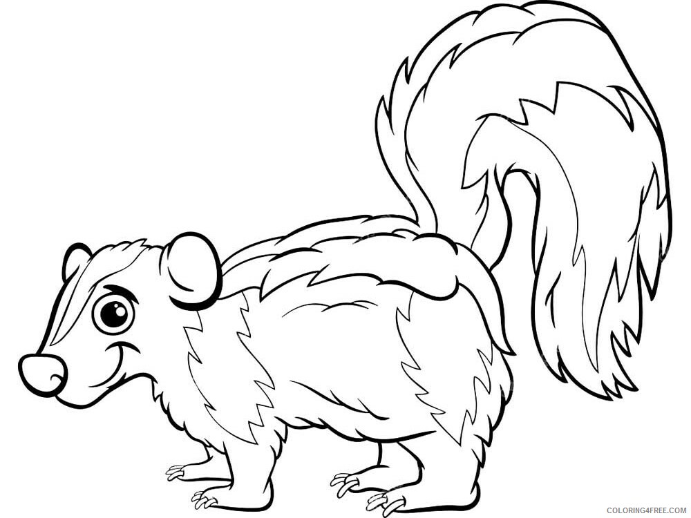 Skunk Coloring Pages Animal Printable Sheets Skunk 3 2021 4519 Coloring4free