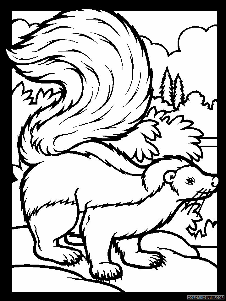 Skunk Coloring Pages Animal Printable Sheets color skunk 2021 4513 Coloring4free