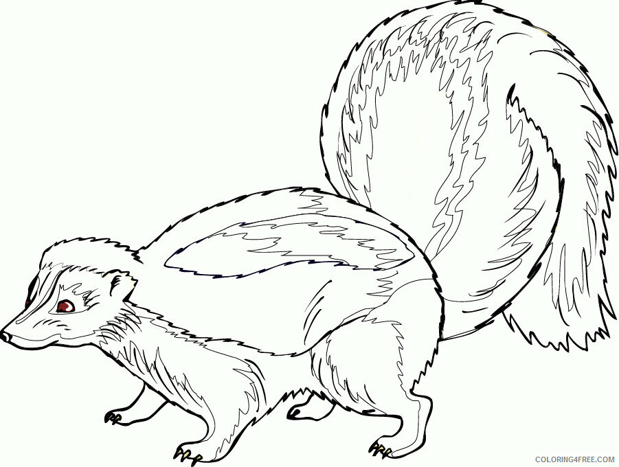 Skunk Coloring Sheets Animal Coloring Pages Printable 2021 4147 Coloring4free