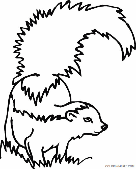 Skunk Coloring Sheets Animal Coloring Pages Printable 2021 4149 Coloring4free