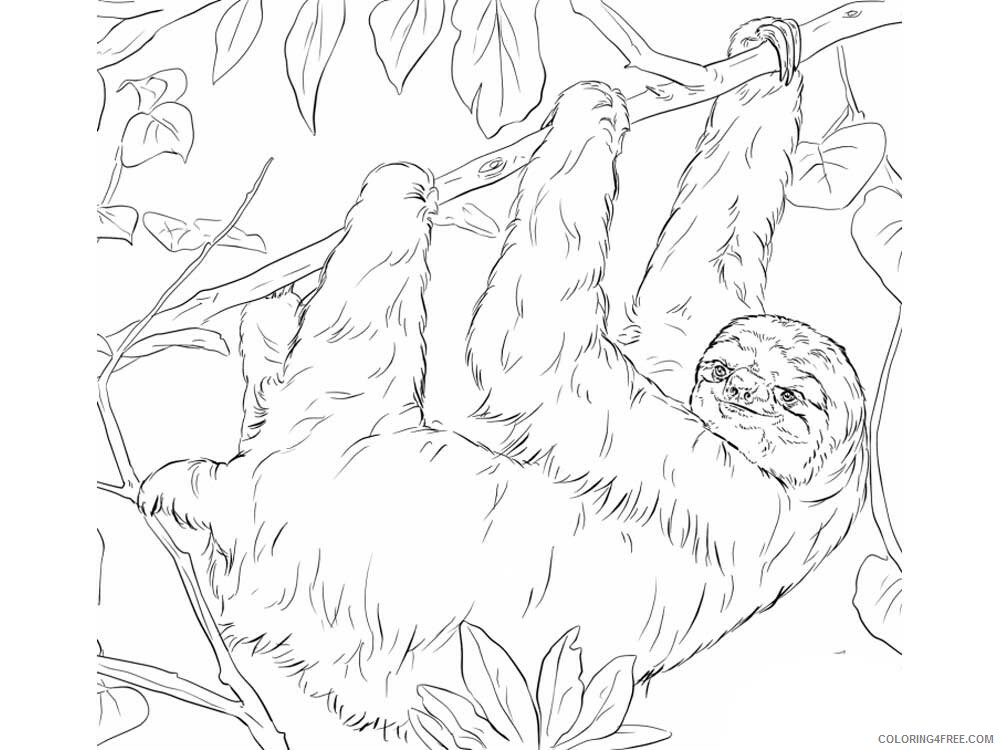 Sloth Coloring Pages Animal Printable Sheets Sloth 9 2021 4530 Coloring4free