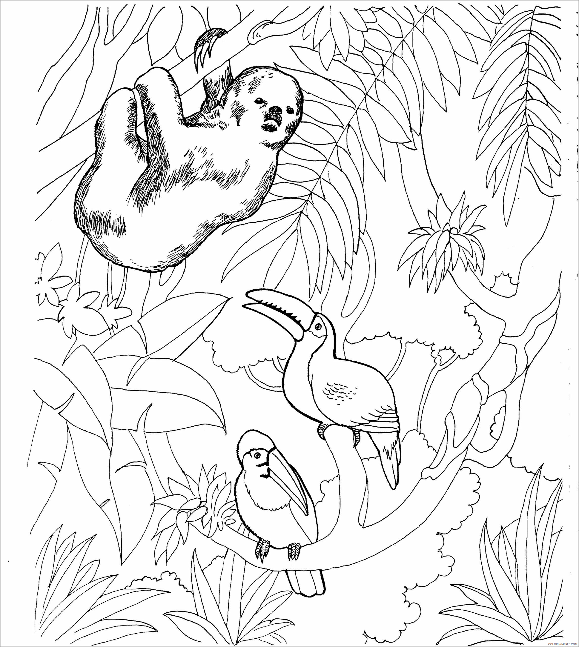 Sloth Coloring Pages Animal Printable Sheets sloth in the jungle 2021 4532 Coloring4free