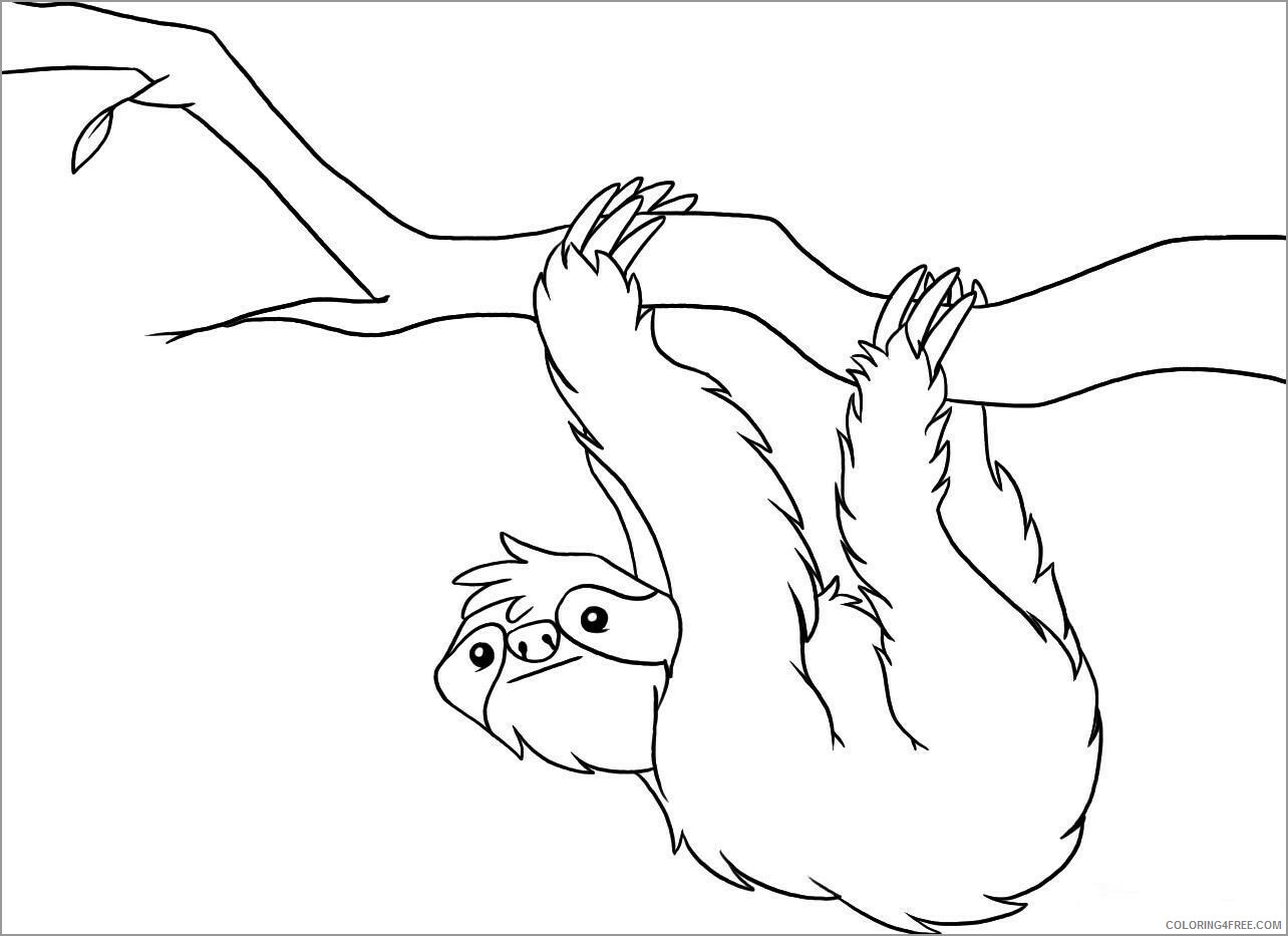 Sloth Coloring Pages Animal Printable Sheets sloths for kindergarten 2021 4533 Coloring4free