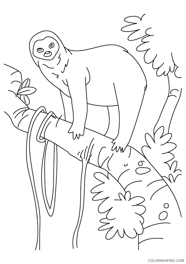 Sloth Coloring Sheets Animal Coloring Pages Printable 2021 4156 Coloring4free