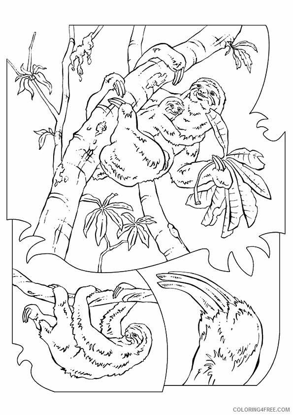 Sloth Coloring Sheets Animal Coloring Pages Printable 2021 4157 Coloring4free