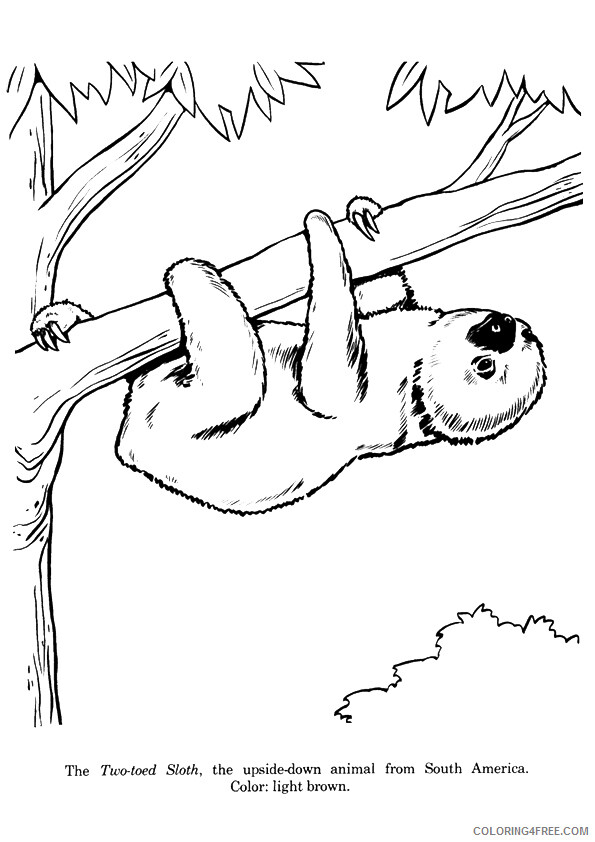 Sloth Coloring Sheets Animal Coloring Pages Printable 2021 4159 Coloring4free