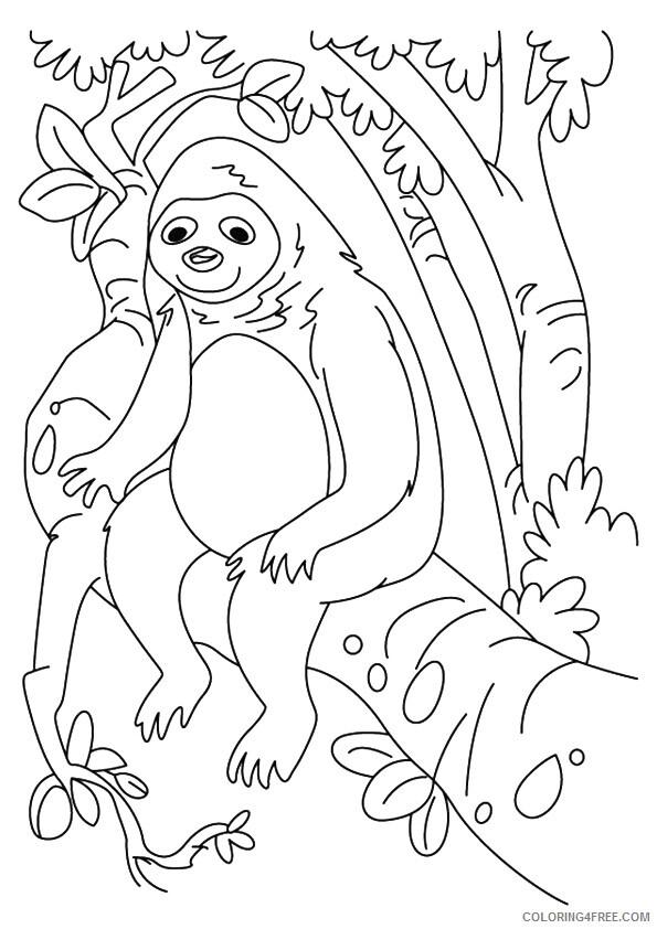 Sloth Coloring Sheets Animal Coloring Pages Printable 2021 4160 Coloring4free