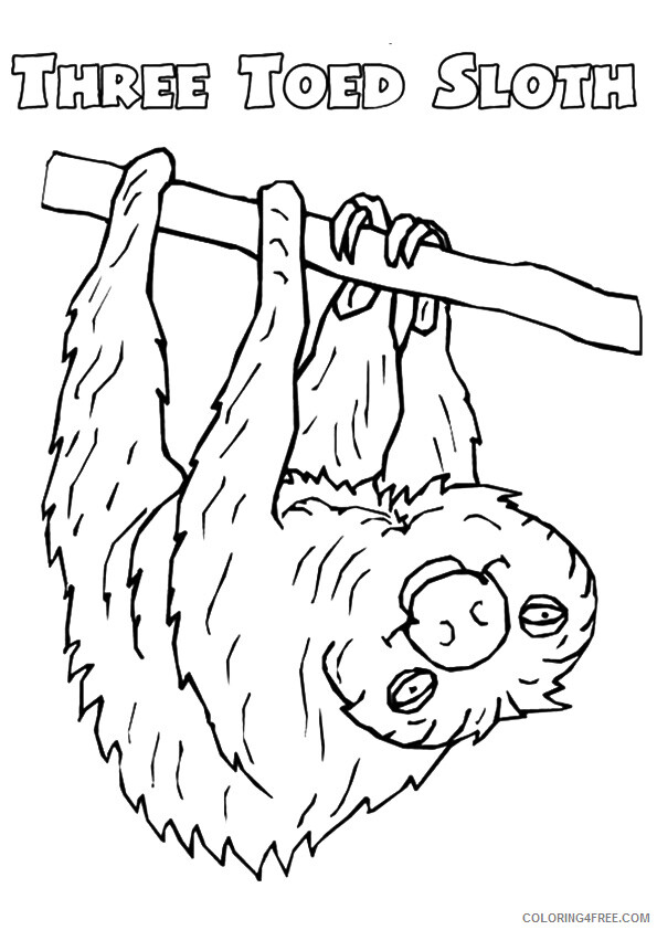 Sloth Coloring Sheets Animal Coloring Pages Printable 2021 4162 Coloring4free