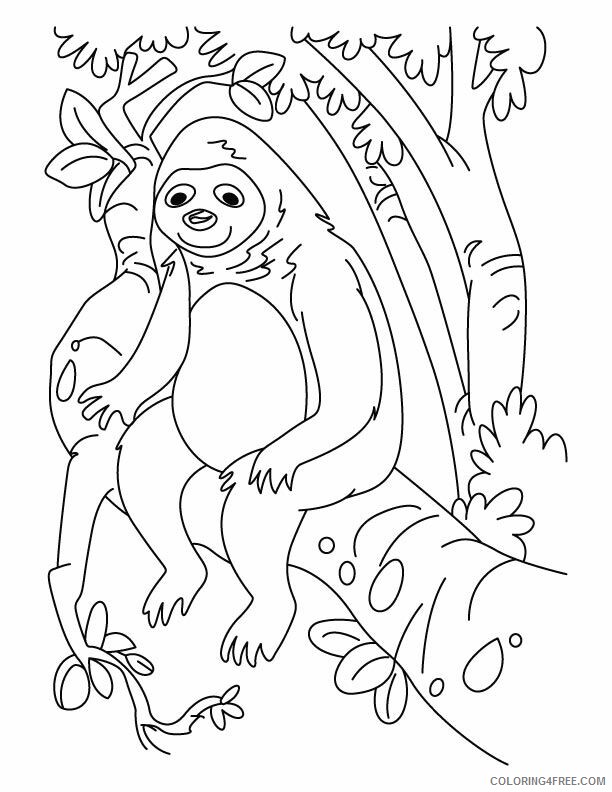 Sloth Coloring Sheets Animal Coloring Pages Printable 2021 4166 Coloring4free