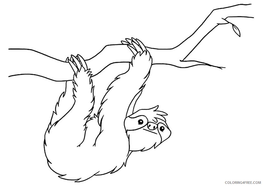Sloth Coloring Sheets Animal Coloring Pages Printable 2021 4167 Coloring4free
