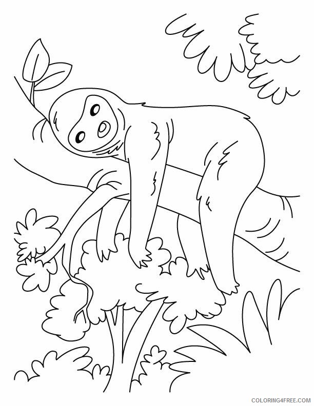 Sloth Coloring Sheets Animal Coloring Pages Printable 2021 4169 Coloring4free