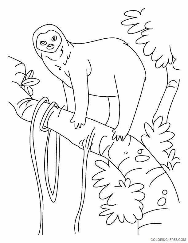 Sloth Coloring Sheets Animal Coloring Pages Printable 2021 4171 Coloring4free