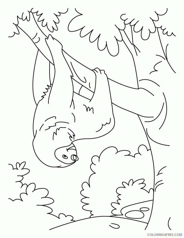 Sloth Coloring Sheets Animal Coloring Pages Printable 2021 4173 Coloring4free