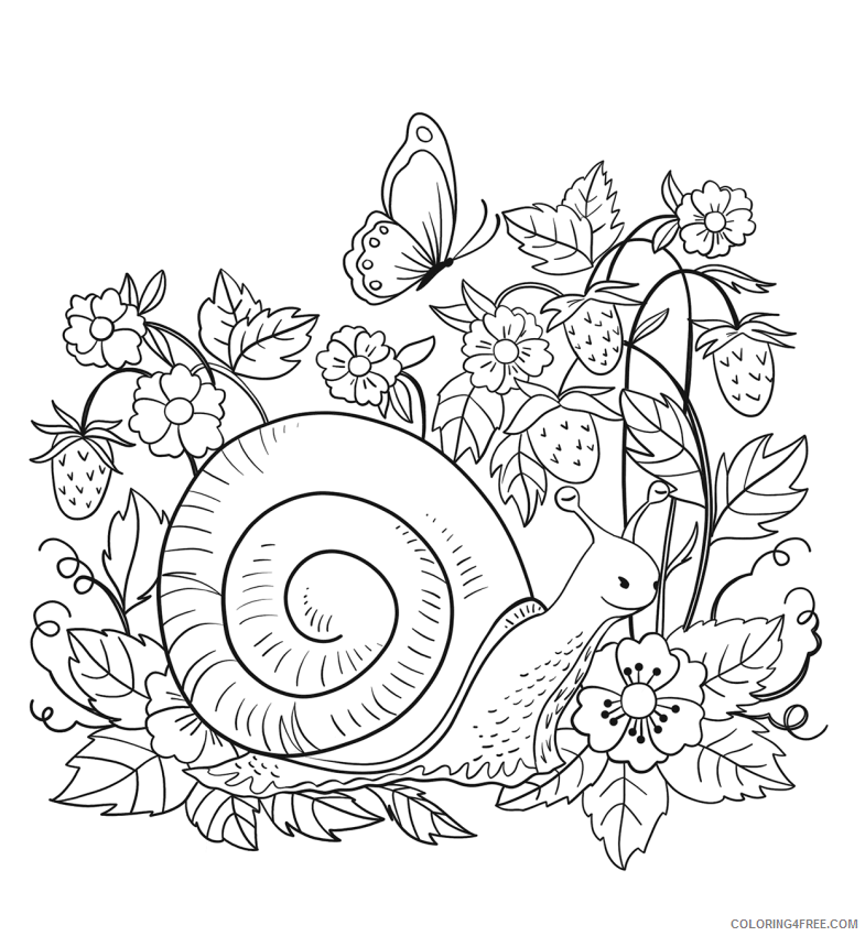 Snail Coloring Pages Animal Printable Sheets snail 2021 4538 Coloring4free