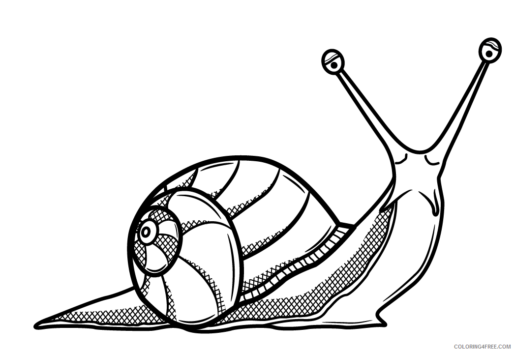 Snail Coloring Sheets Animal Coloring Pages Printable 2021 4193 Coloring4free