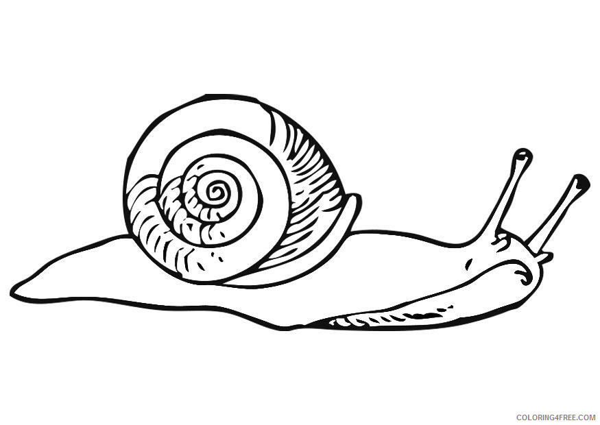 Snail Coloring Sheets Animal Coloring Pages Printable 2021 4196 Coloring4free
