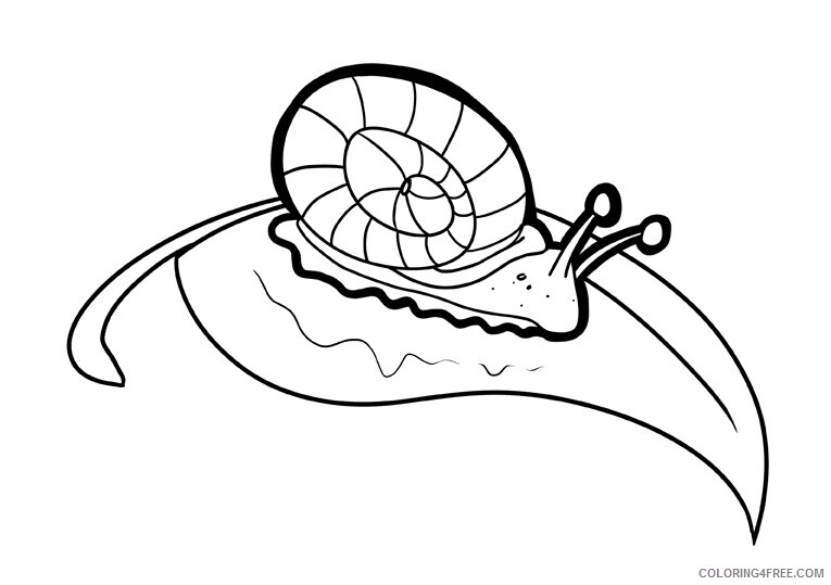 Snail Coloring Sheets Animal Coloring Pages Printable 2021 4205 Coloring4free