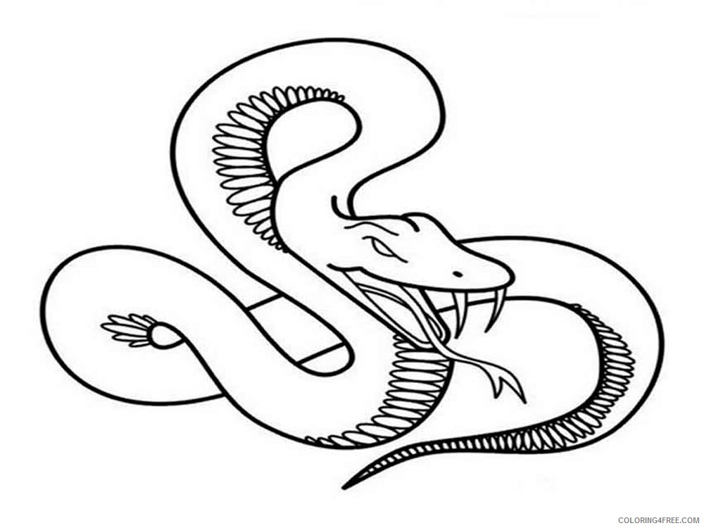 Snake Coloring Pages Animal Printable Sheets Snake 10 2021 4561 Coloring4free