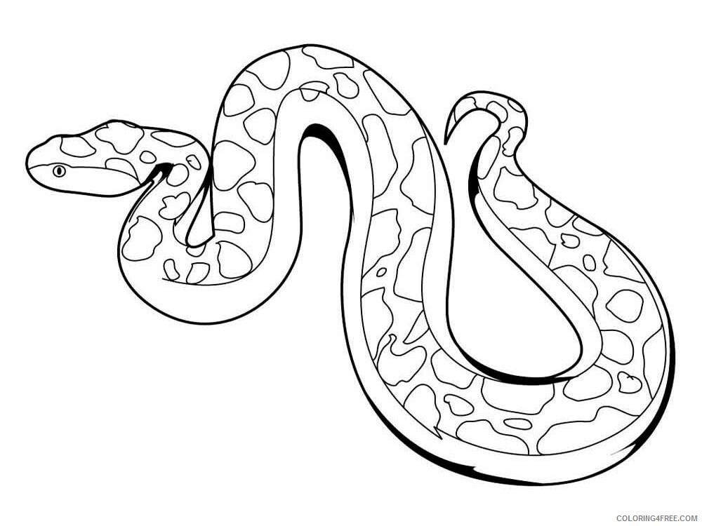 Snake Coloring Pages Animal Printable Sheets Snake 16 2021 4564 Coloring4free