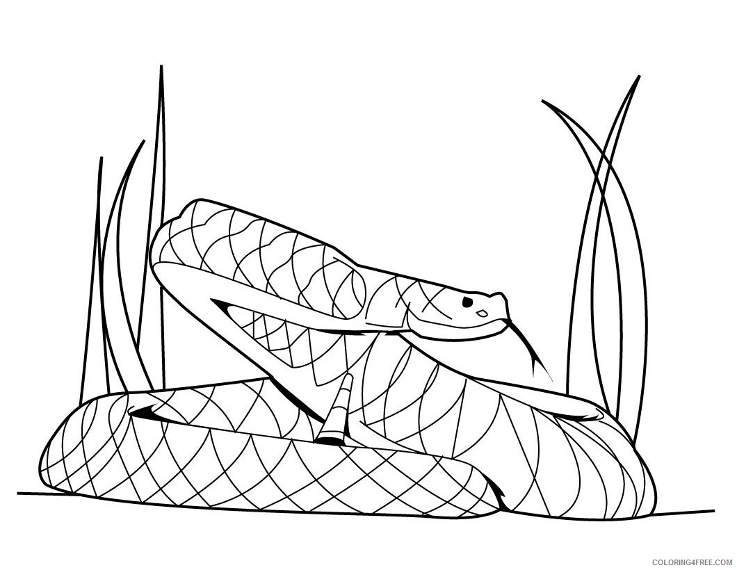 Snake Coloring Pages Animal Printable Sheets Snake 2021 4558 Coloring4free