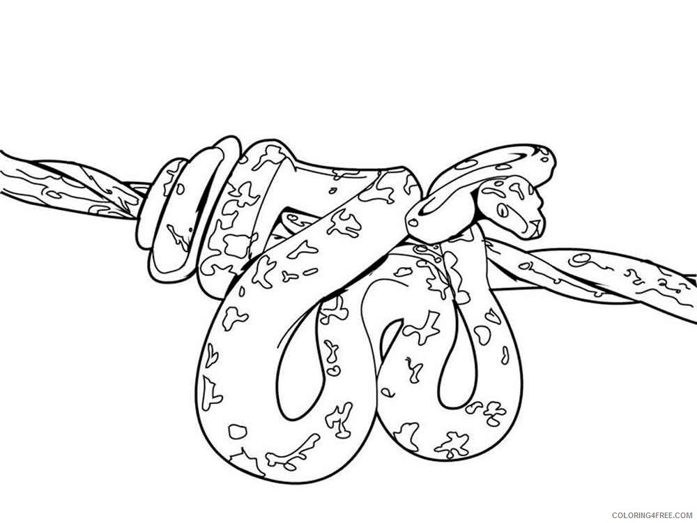 Snake Coloring Pages Animal Printable Sheets Snake 5 2021 4568 Coloring4free