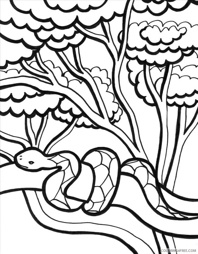 Snake Coloring Pages Animal Printable Sheets Snake Jungle 2021 4573 Coloring4free