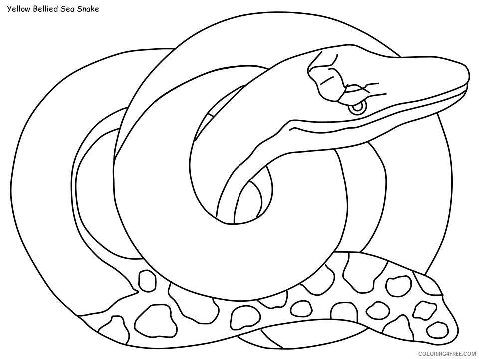 Snake Coloring Pages Animal Printable Sheets sea snake 2021 4553 Coloring4free