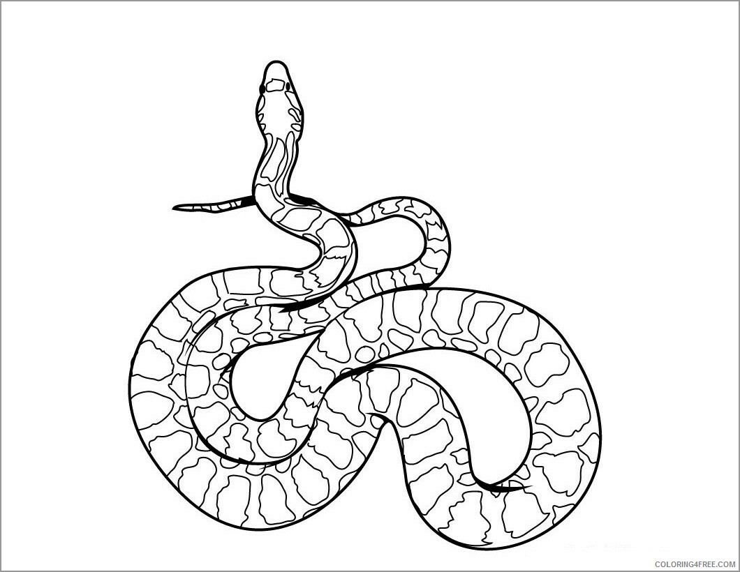 Snake Coloring Pages Animal Printable Sheets snake realistic 2021 4571 Coloring4free