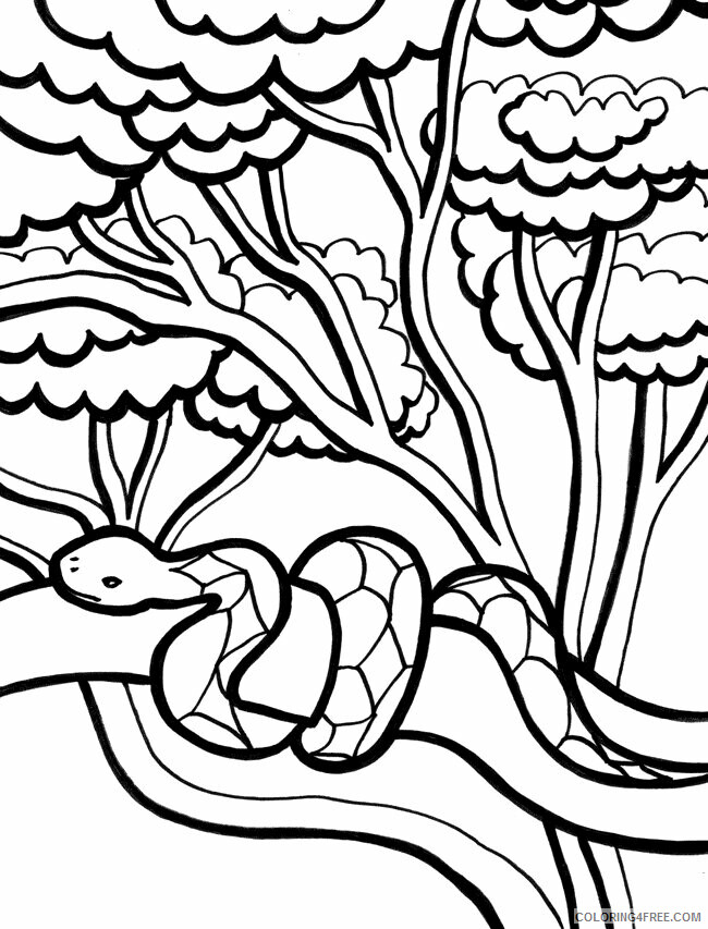 Snake Coloring Sheets Animal Coloring Pages Printable 2021 4224 Coloring4free