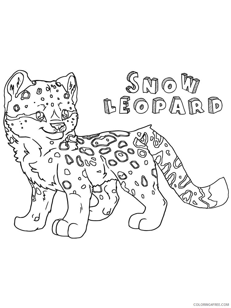 Snow Leopard Coloring Pages Animal Printable Sheets Snow Leopard 17 2021 4581 Coloring4free