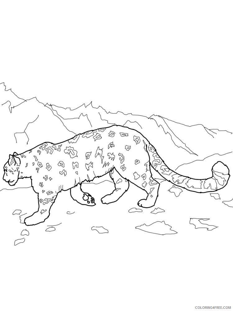 Snow Leopard Coloring Pages Animal Printable Sheets Snow Leopard 2 2021 4584 Coloring4free