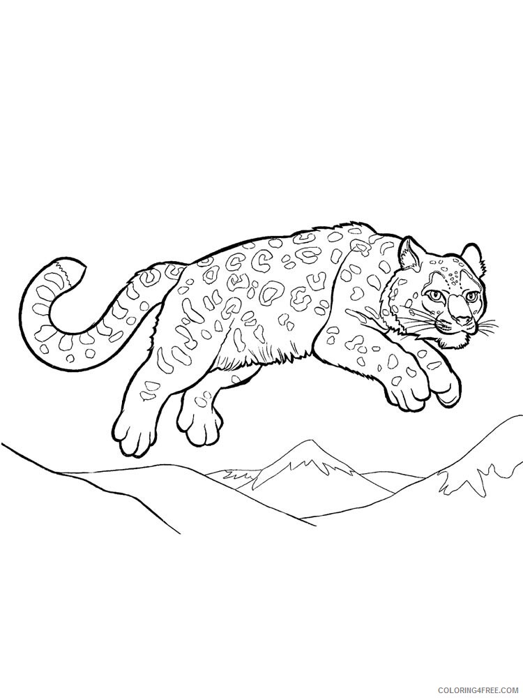Snow Leopard Coloring Pages Animal Printable Sheets Snow Leopard 5 2021 4589 Coloring4free