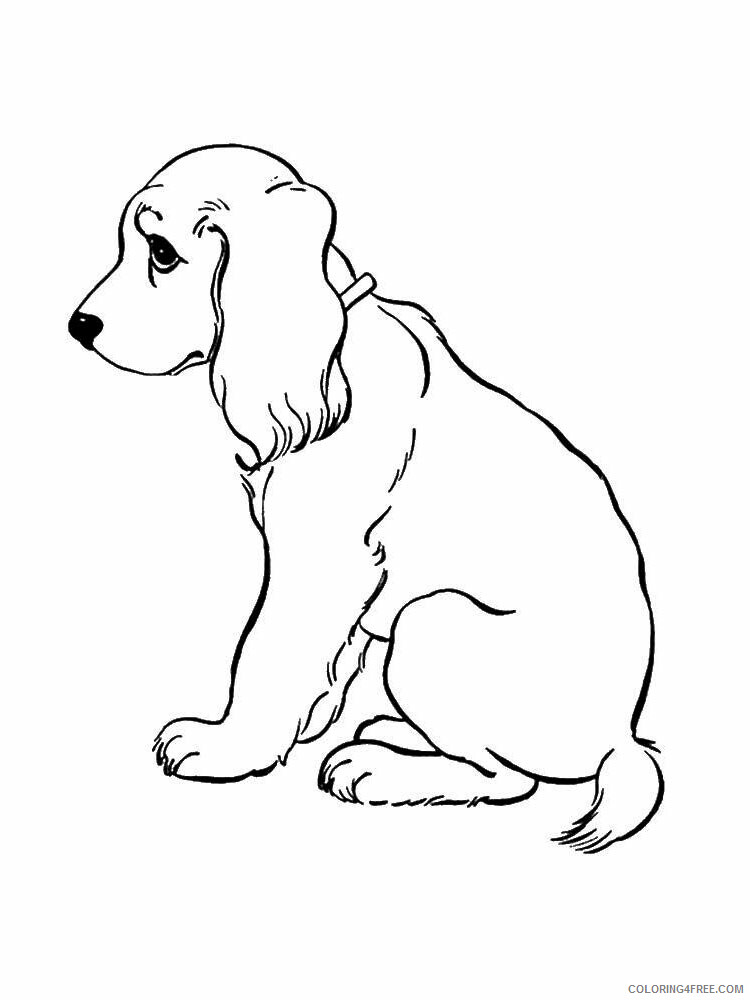 Spaniel Coloring Pages Animal Printable Sheets Spaniel 11 2021 4591 Coloring4free