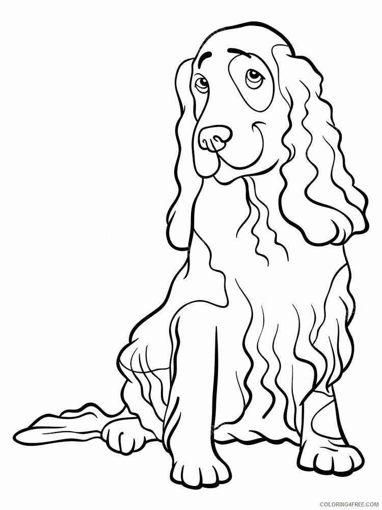 Spaniel Coloring Pages Animal Printable Sheets Spaniel 7 2021 4595 Coloring4free