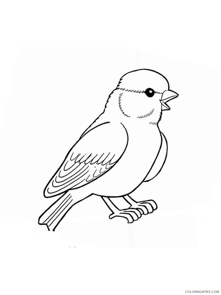 Sparrows Coloring Pages Animal Printable Sheets Sparrows birds 13 2021 4600 Coloring4free