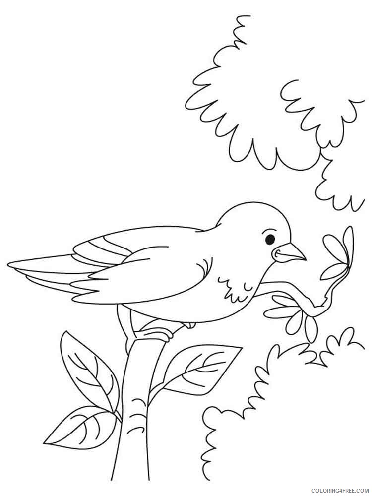 Sparrows Coloring Pages Animal Printable Sheets Sparrows birds 3 2021 4603 Coloring4free