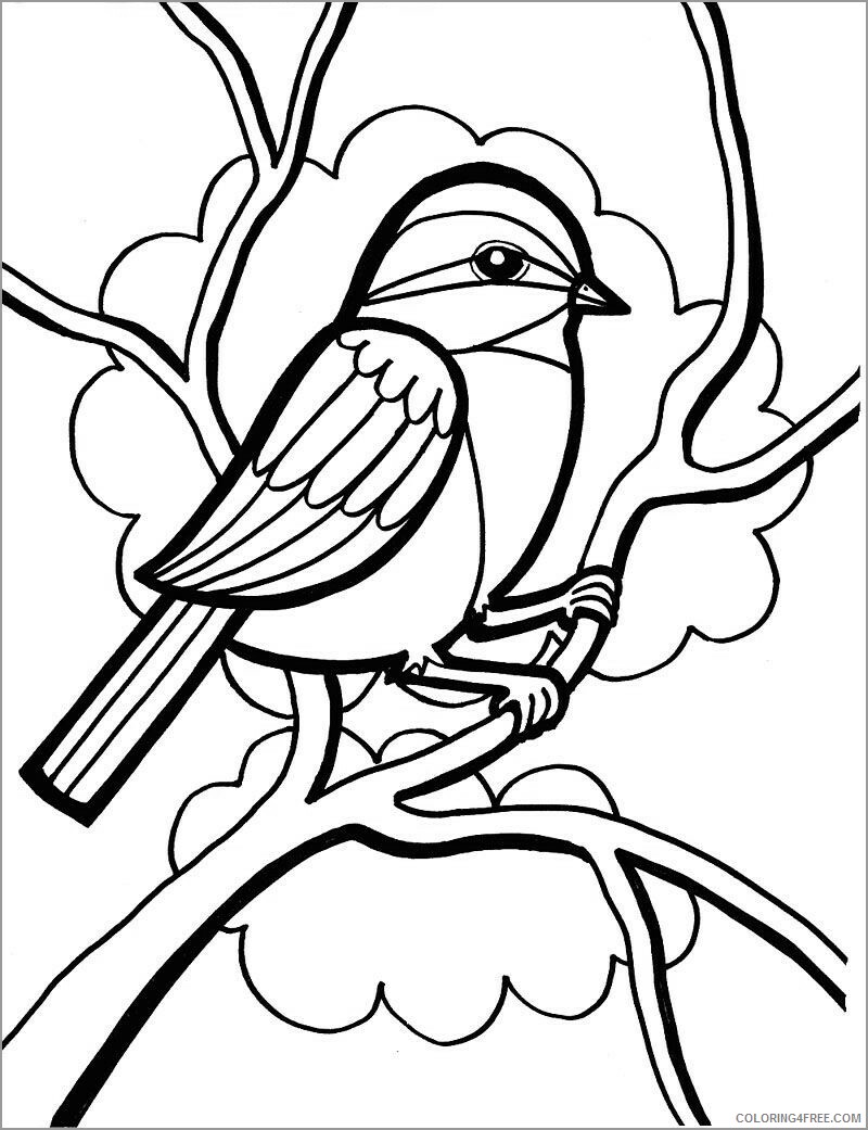 Sparrows Coloring Pages Animal Printable Sheets sparrows for kindergarten 2021 Coloring4free