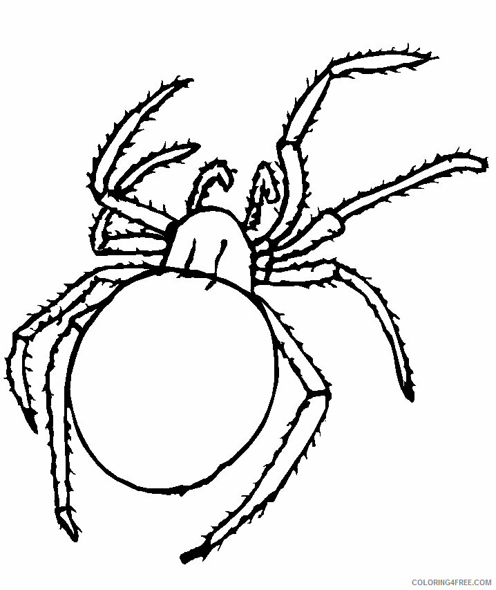 Spider Coloring Pages Animal Printable Sheets Free Spider 2021 4620 Coloring4free
