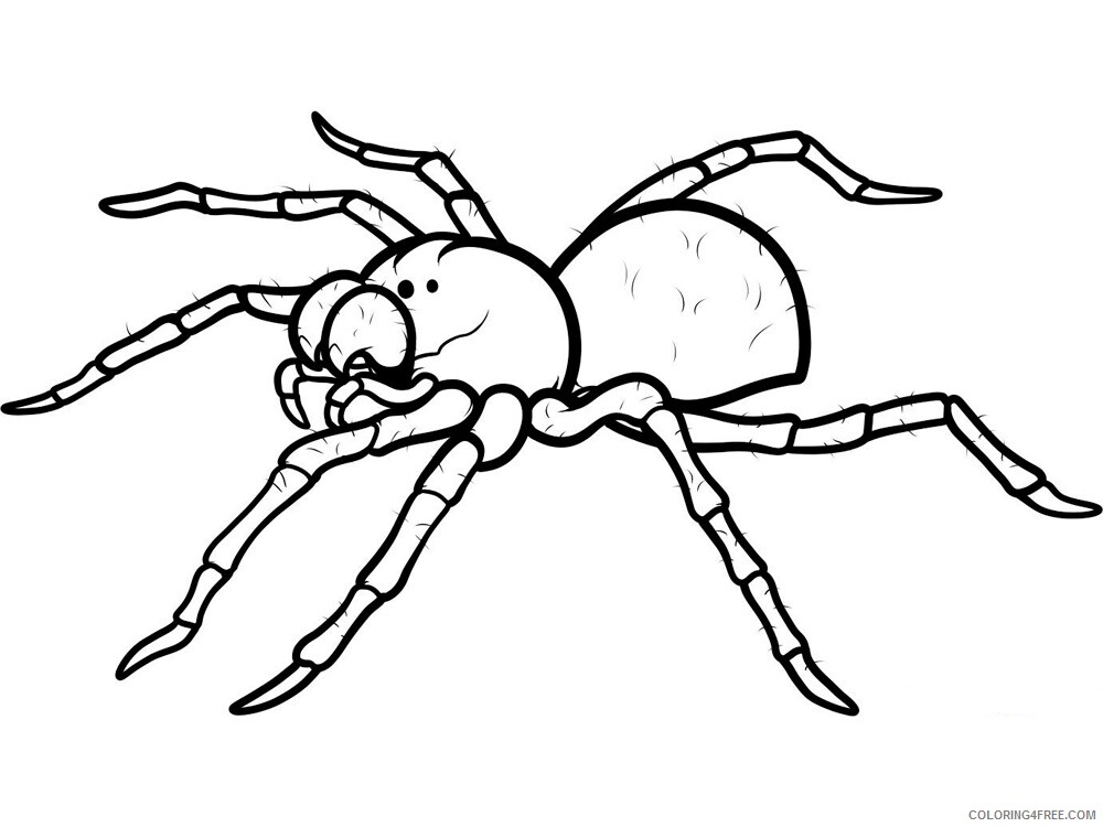 Spider Coloring Pages Animal Printable Sheets Spider 12 2021 4641 Coloring4free
